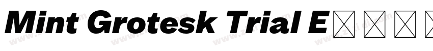 Mint Grotesk Trial E字体转换